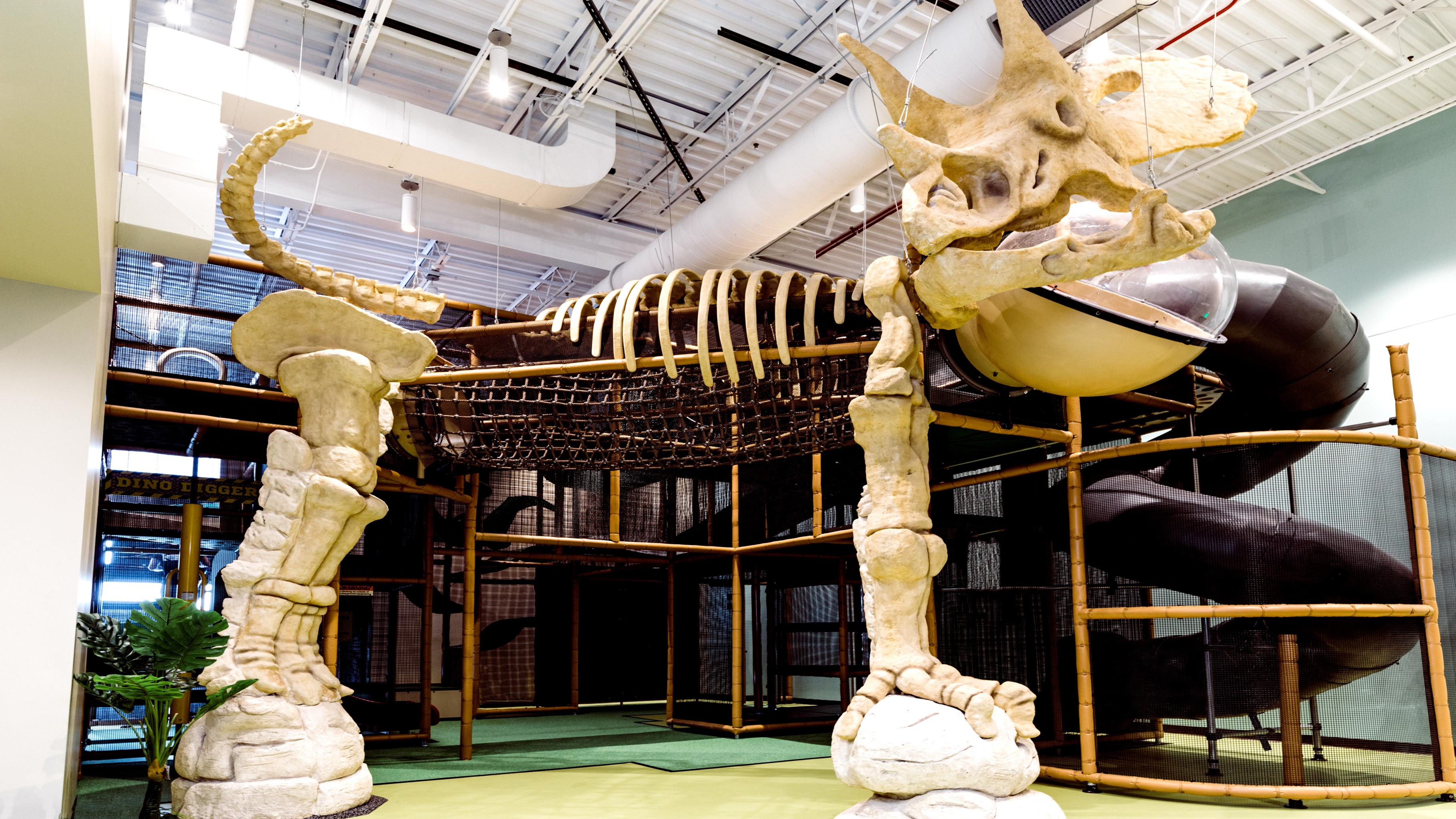 Dino