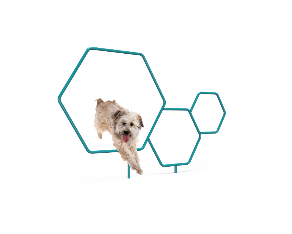 Dog hoops