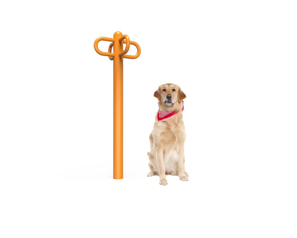 Dog leash rack