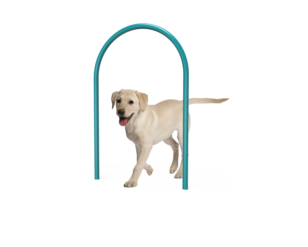 Dog loop