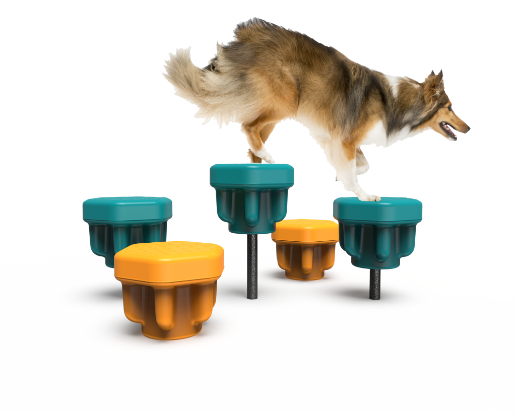Dog steppers