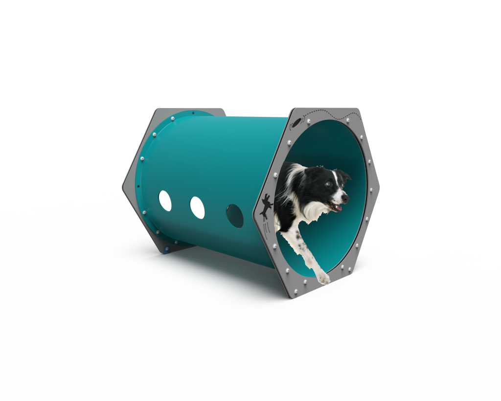 dog tunnel